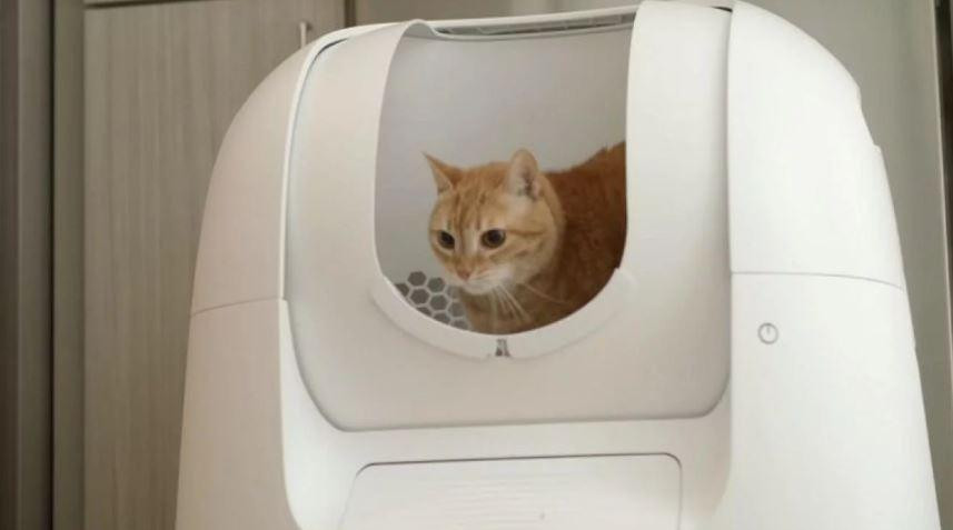 Inodoro inteligente para gatos manejado por una app