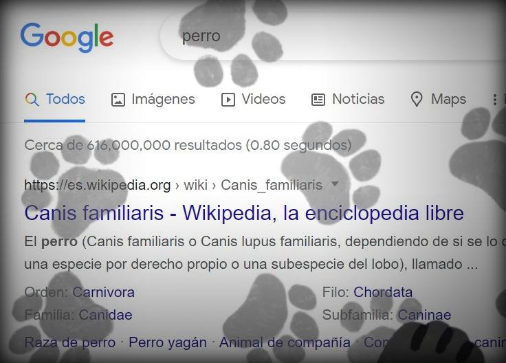 Pantalla de Google con huellitas. Foto: captura de pantalla.