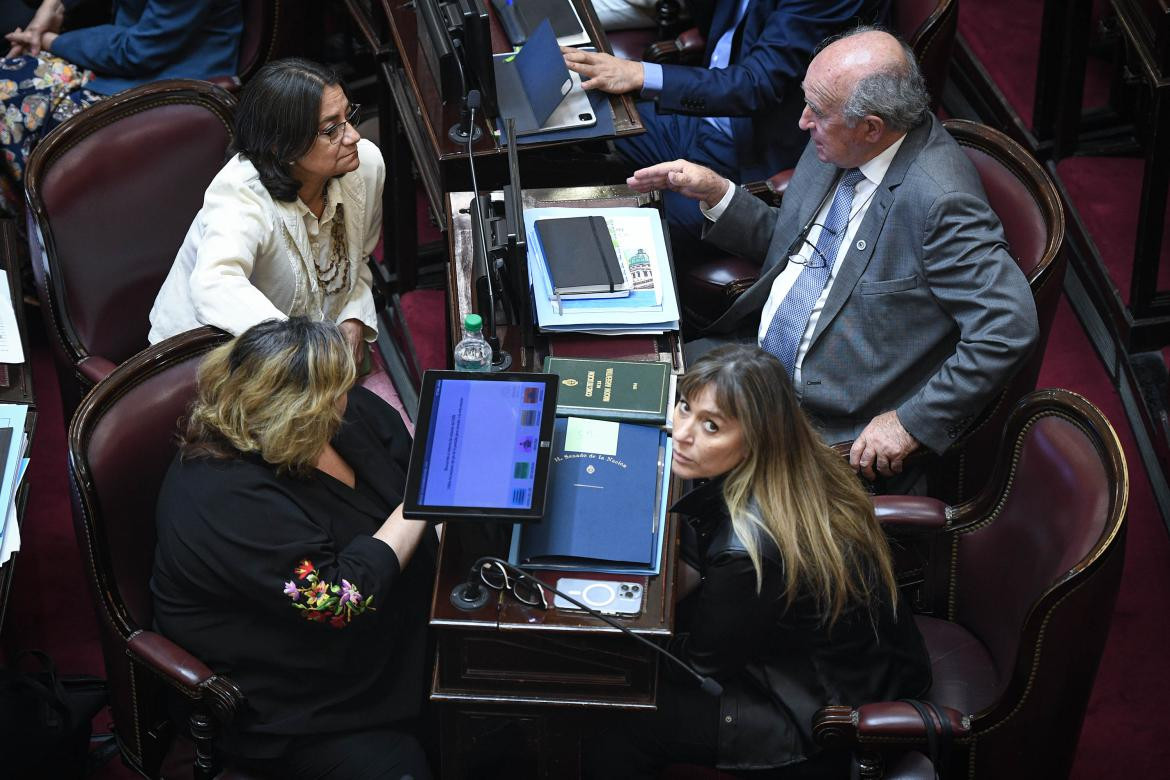 Debate en el Senado por el Presupuesto 2023. Foto: Telam.