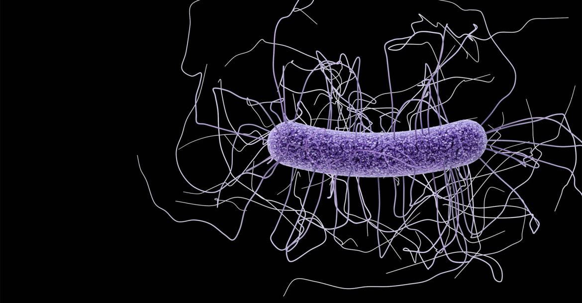 Microbioma, salud. Foto: REUTERS