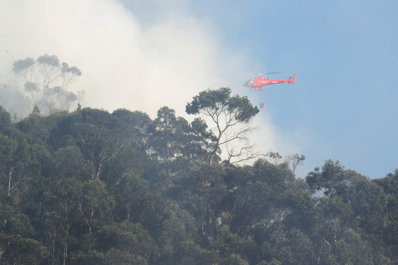 Incendios forestales en Colombia. Foto: EFE.