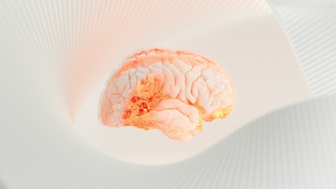 Cerebro. Foto: Unsplash.
