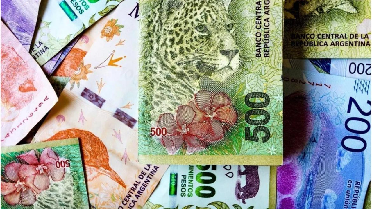 Billetes. Foto: NA