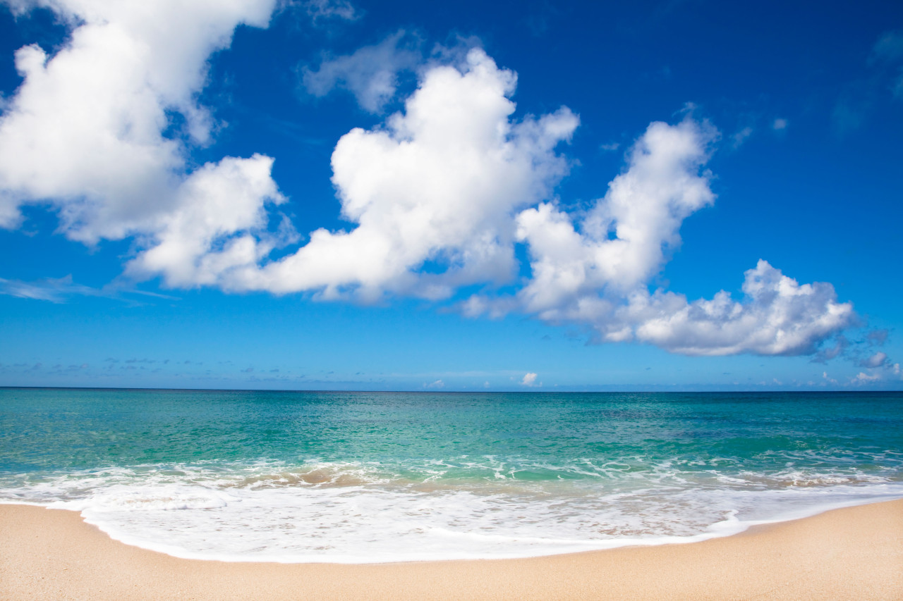 Playa. Foto: Reuters, Alamy