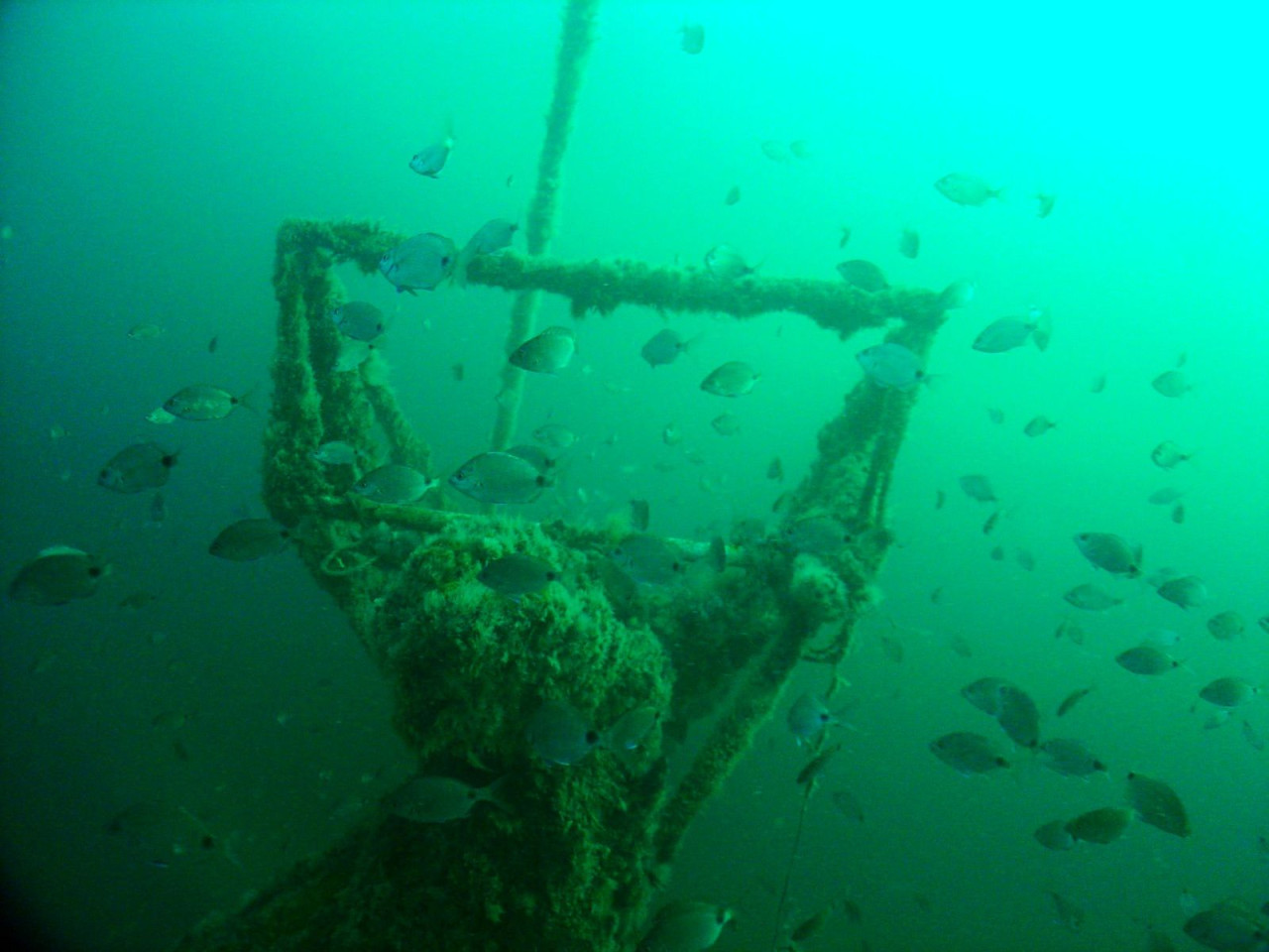 Parque Submarino de Las Grutas. Foto/X: @rionegrogob
