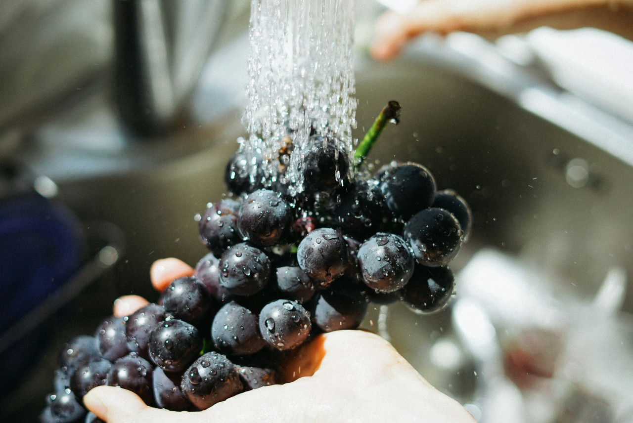 Verduras; alimentos. Foto: Unsplash