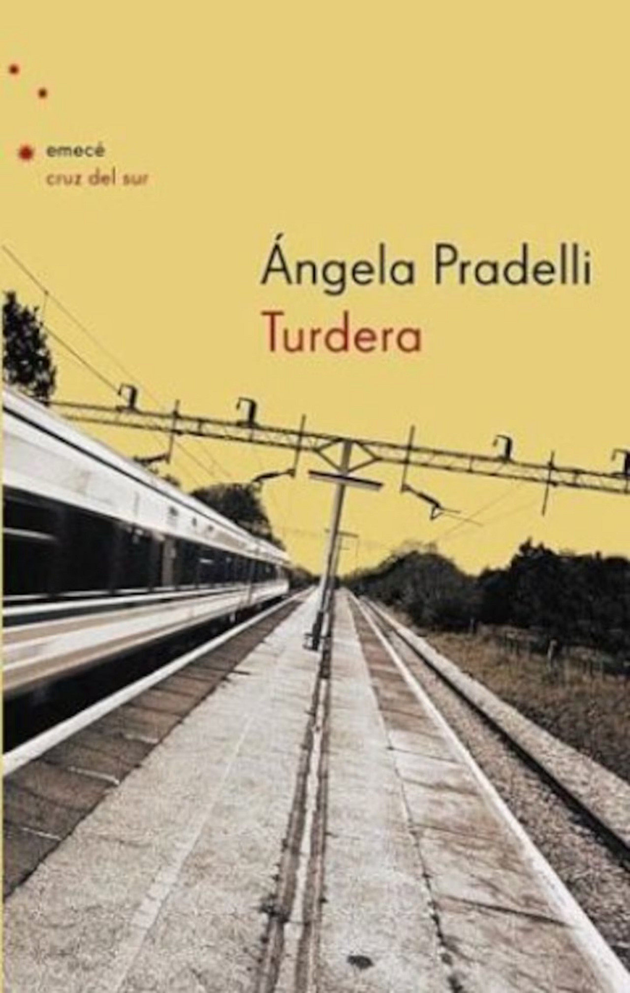 Libro Turdera. Foto Libreria de Mujeres