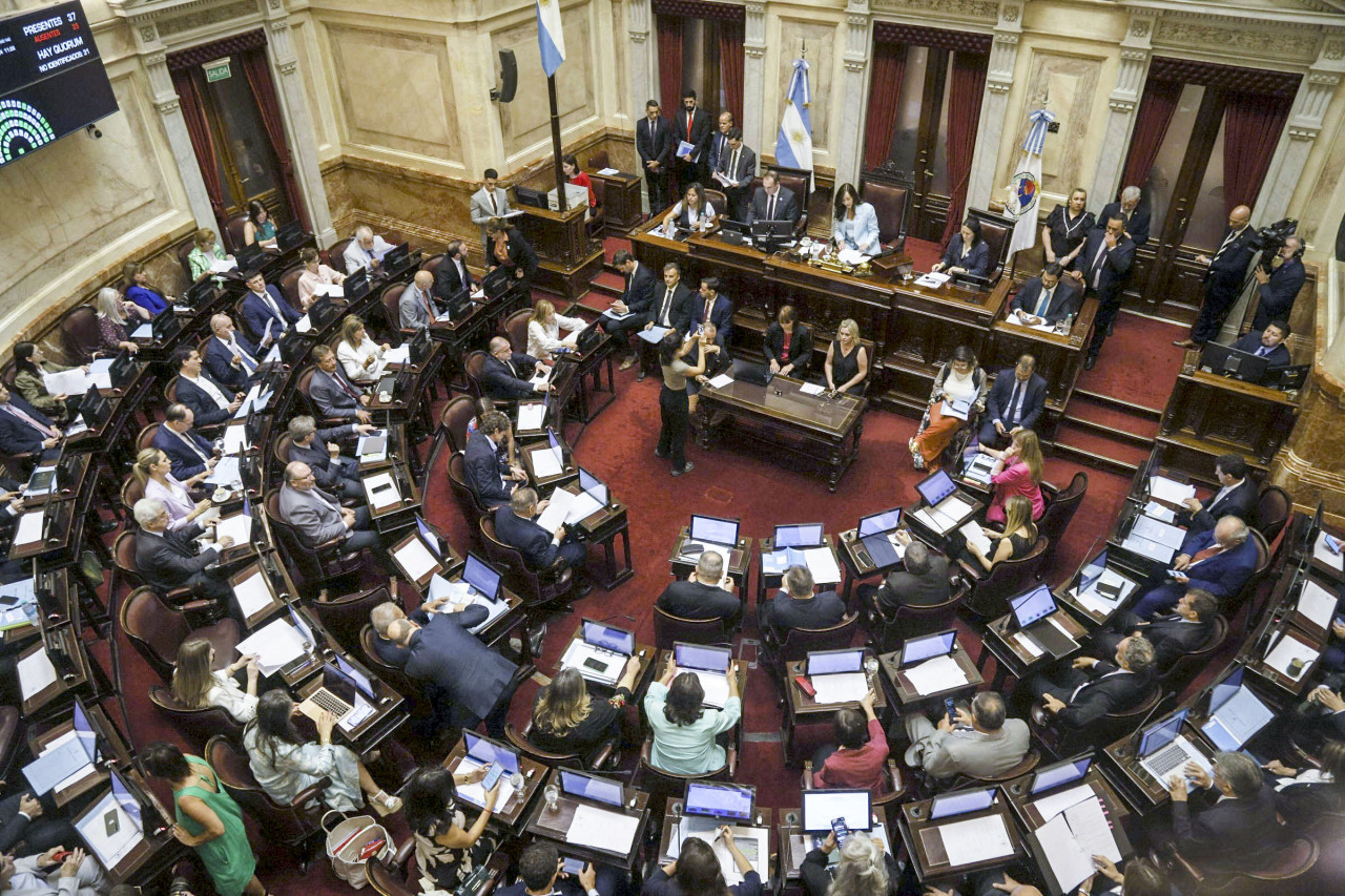 Senado de la Nación. Foto: NA/Daniel Vides.