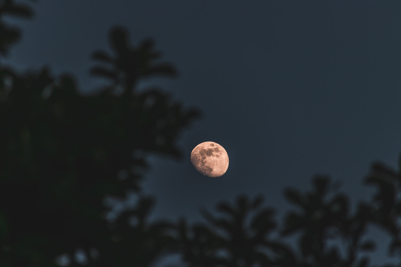 Luna nueva. Foto: Freepik.
