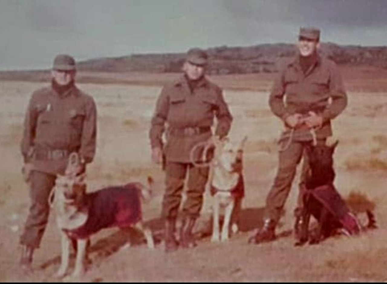 Los perros cumplieron roles de exploración, rescate y defensa