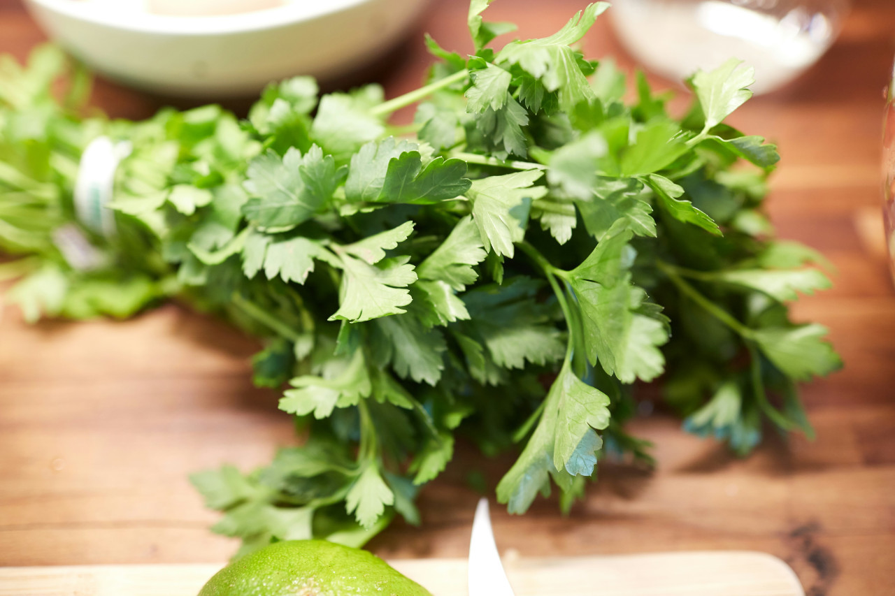 Plantas, condimentos, perejil. Foto: Unsplash.