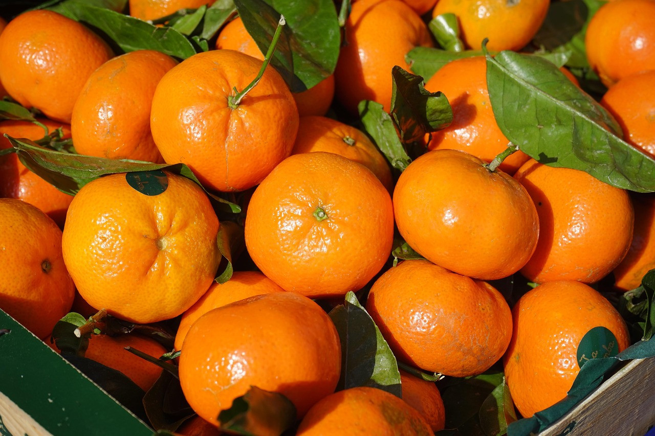 Ni siquiera es necesario pelar las mandarinas para hacer un budín. Foto: Pixabay