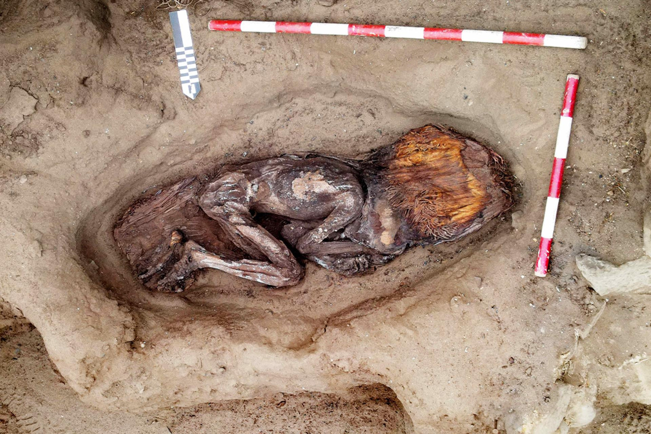 Tumba de una mujer de casi 5 mil años encontrada en Perú. Foto: EFE.